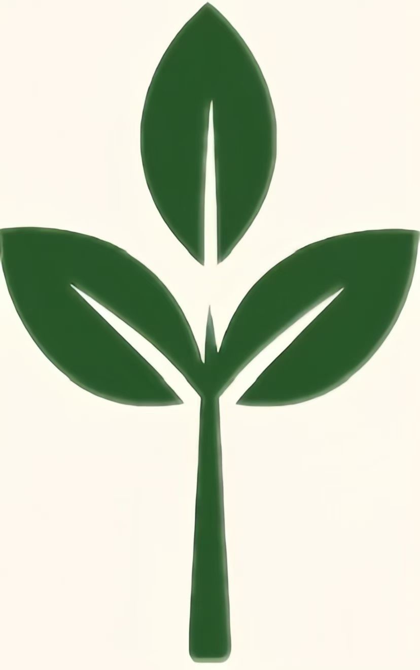 safe_icon